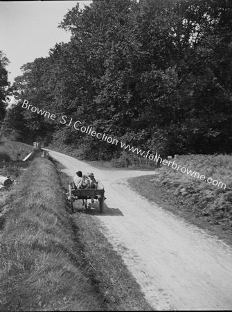 DONKEY AND CART WITH CHILDREN